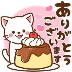 [LINEスタンプ] しろねこ♡毎日使える 日常