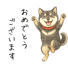 [LINEスタンプ] 敬語の黒柴・イラストスタンプ