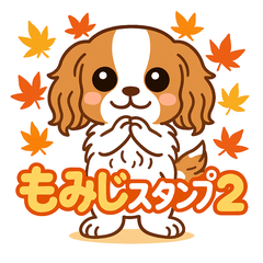 [LINEスタンプ] もみじ(保護犬キャバリア2)