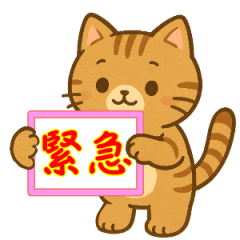 [LINEスタンプ] 緊急！気持ちを伝えるカンペ！ネコ♡