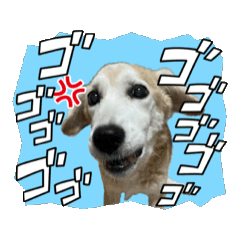 [LINEスタンプ] つっきぃとまっきぃが動くよ
