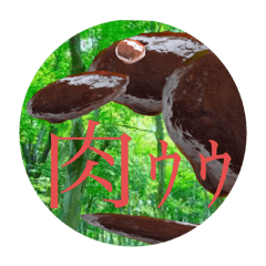 [LINEスタンプ] 謎のハンバーグ生物〜鳥編〜