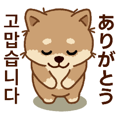 [LINEスタンプ] マランの毎日が楽しい！ 日本語、韓国語版