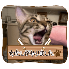 [LINEスタンプ] しまちゃんファミリー③❤