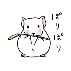 [LINEスタンプ] チンチラの可愛い1日（ホワイト）