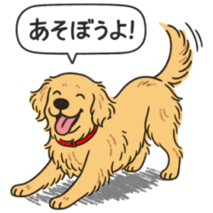 [LINEスタンプ] ゴールデンレトリバー(ゴールド)