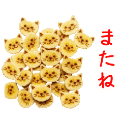 [LINEスタンプ] バラエティニャップス、パリッと一言