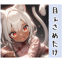 [LINEスタンプ] ゆるふわ猫ガール チャイナで伊予弁Ver