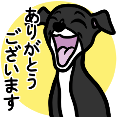 [LINEスタンプ] 【ブラック2】1年中使える♡パピーイタグレ