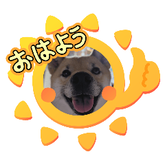 [LINEスタンプ] はなのスタンプ① 普段用