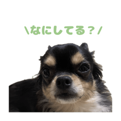 [LINEスタンプ] こんぶスタンプ3