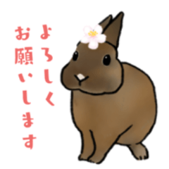 [LINEスタンプ] うさぽんの春夏スタンプ
