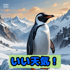 [LINEスタンプ] ペンギンシリーズtoki