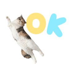 [LINEスタンプ] もみじちゃんの日常スタンプ