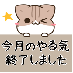 [LINEスタンプ] 毎日五月病なねこたち 敬語3