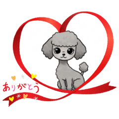[LINEスタンプ] 『トイプードル』のスタンプ