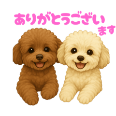 [LINEスタンプ] トイプードルのメロとチル