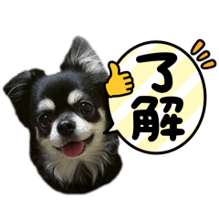 [LINEスタンプ] ひなた＆ふうたの愉快なスタンプ