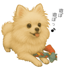 [LINEスタンプ] ポメさんとの日々。3