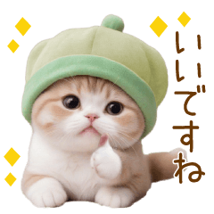 [LINEスタンプ] メロン帽が可愛い スコティッシュ猫3 敬語