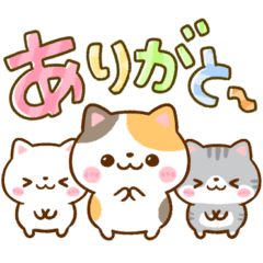 [LINEスタンプ] ちいさな♡にゃんこ♡デカ文字長文