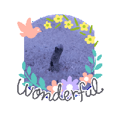 [LINEスタンプ] 可愛い水族館スタンプ