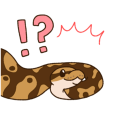 [LINEスタンプ] ボールパイソンずスタンプ(日常)