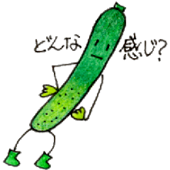 [LINEスタンプ] 胡瓜さんの日常会話スタンプ