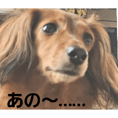 [LINEスタンプ] もみすず