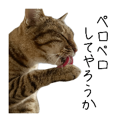 [LINEスタンプ] りょうの毛深いかぞく