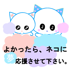 [LINEスタンプ] よかったら、ネコに応援させて下さい