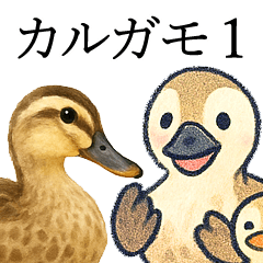 [LINEスタンプ] トリのおしゃべり4 - カルガモ1