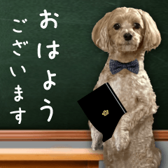 [LINEスタンプ] 飛び出す！教えて☆まる先生