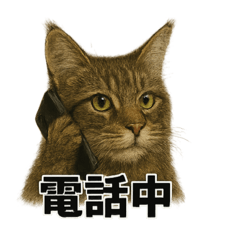 [LINEスタンプ] リアルすぎ！メインクーン猫の仕事スタンプ
