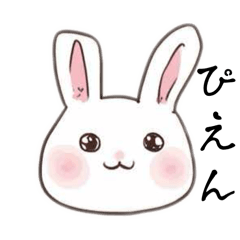 [LINEスタンプ] 気づかい上手なうさぎ