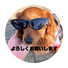 [LINEスタンプ] 僕の名前はリトル君です