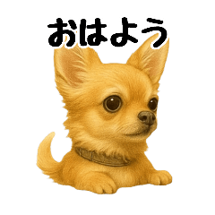 [LINEスタンプ] チワワの日常その1の画像（メイン）