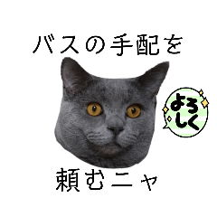 [LINEスタンプ] ブリショーつみれの葬儀屋さん その1
