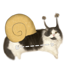 [LINEスタンプ] むーさまの日常スタンプ