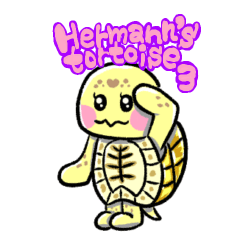 [LINEスタンプ] ヒガシヘルマンリクガメの亀ちゃん先生3