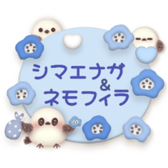 [LINEスタンプ] ずっと使える★シマエナガとネモフィラ