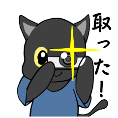 [LINEスタンプ] 黒猫のフォトジェニック