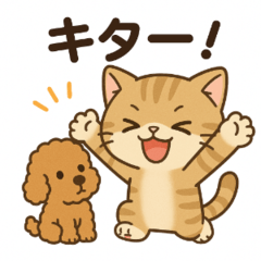 [LINEスタンプ] スコ姫の日常