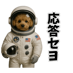 [LINEスタンプ] ティムとロイ2