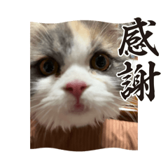 [LINEスタンプ] れいの大冒険