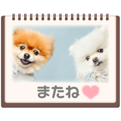 [LINEスタンプ] ししまるとここまる
