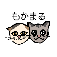 [LINEスタンプ] もかまるの挨拶スタンプ1