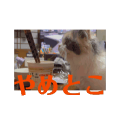 [LINEスタンプ] れいのすたんぷ 1