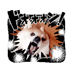 [LINEスタンプ] りんとハク