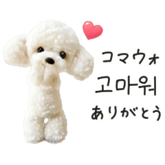 [LINEスタンプ] もふもふトイプードルと♡韓国語おしゃべり